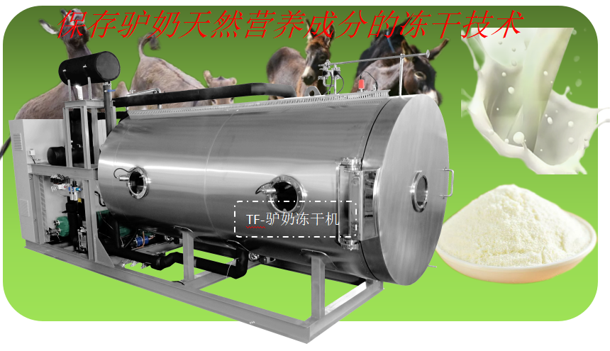 驢奶凍干加工流程和驢奶凍干機生產線
