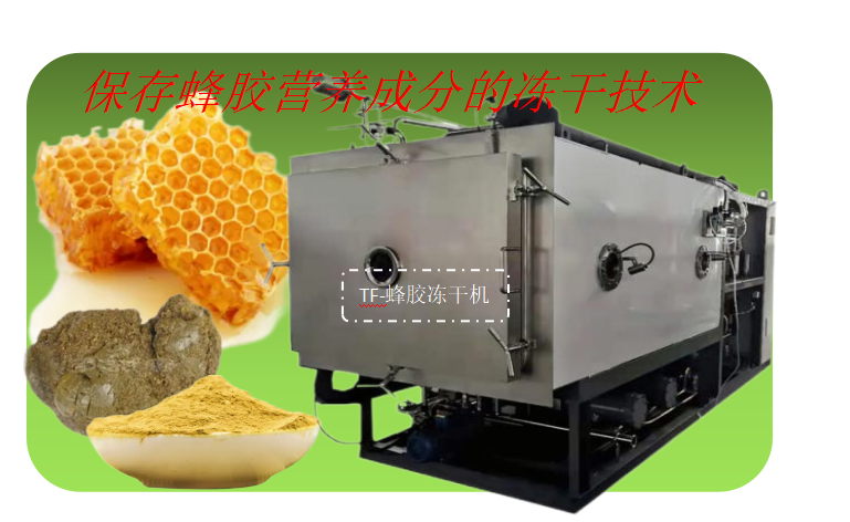 蜂膠凍干粉冷凍干燥技術和蜂膠凍干機設備