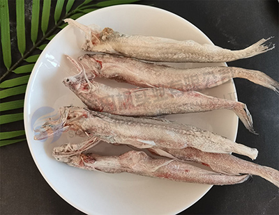 海鮮魚凍干：食品凍干技術應用于龍頭魚冷凍干燥原理