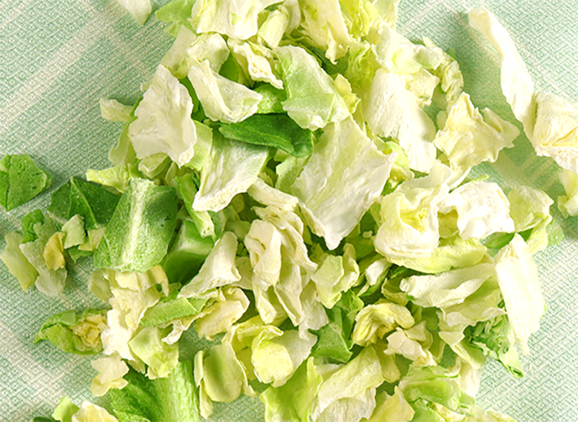 卷心菜凍干：蔬菜冷凍干燥機應用于卷心菜凍干應用案例