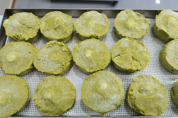蔬菜餅凍干:蔬菜餅凍干技術和食品凍干機應用